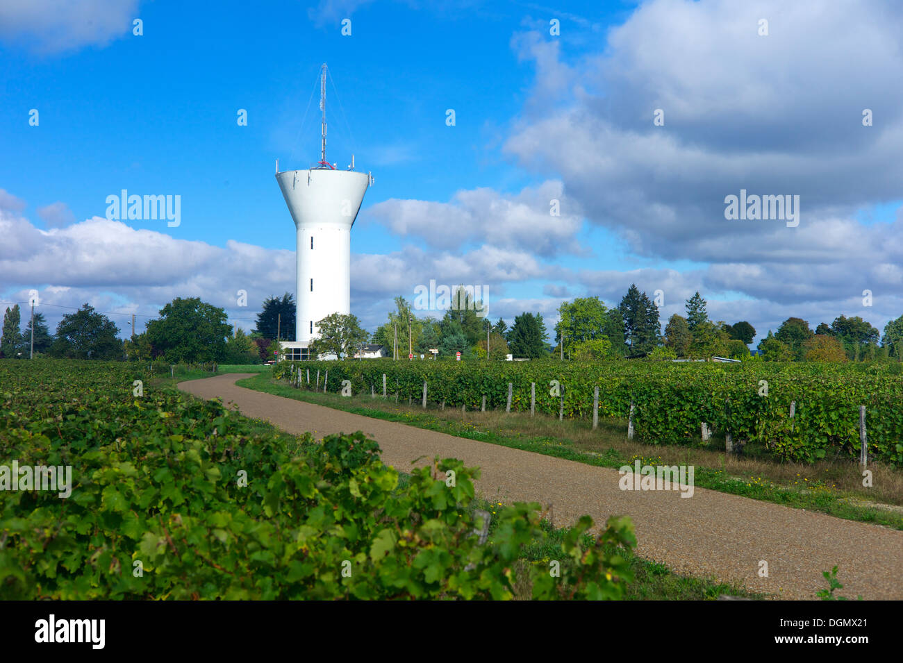 Un tour de l'eau dans un vignoble, Monlouis-sur-Loire, Indre et Loire, France Banque D'Images