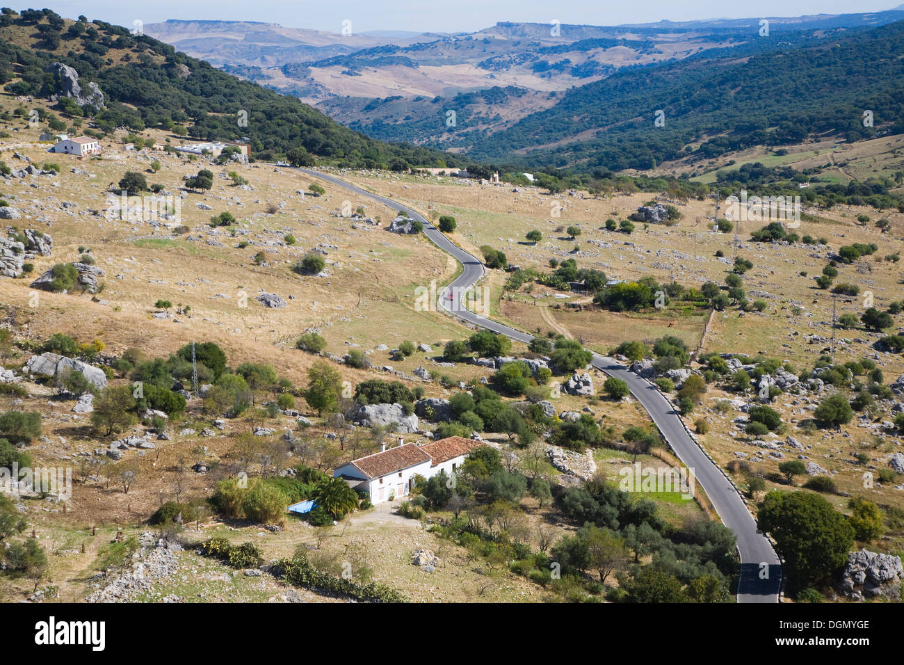 Route menant dans la campagne du parc naturel Sierra de Grazalema, Cadiz Province, Espagne Vue de village de Grazalema Banque D'Images