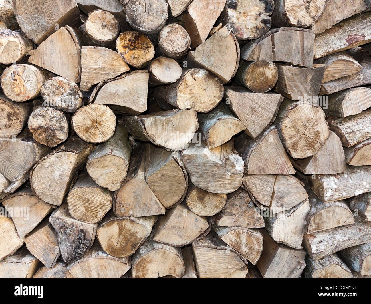 Close up detail de split bois rond empilé dans une seule ligne Banque D'Images