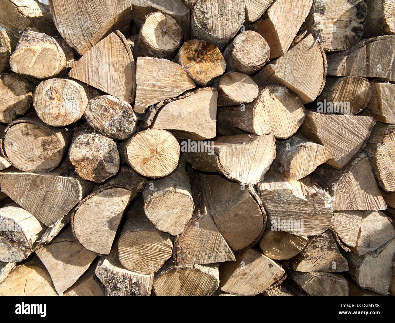 Close up detail de split bois rond empilé dans une seule ligne Banque D'Images