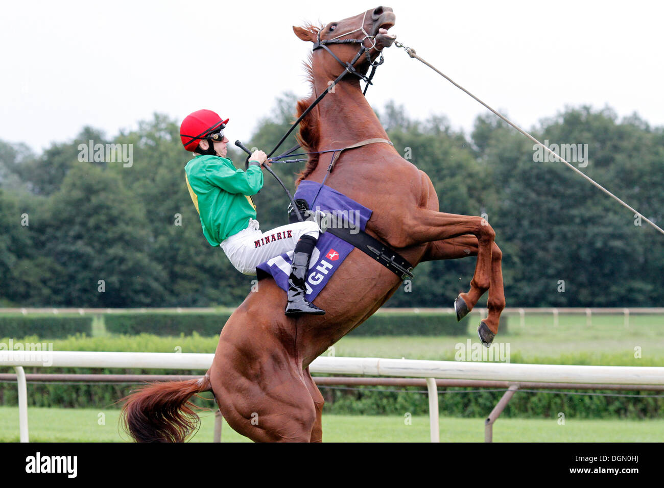 Hanovre, Allemagne, cheval d'élevage essaye de jeter son jockey Banque D'Images