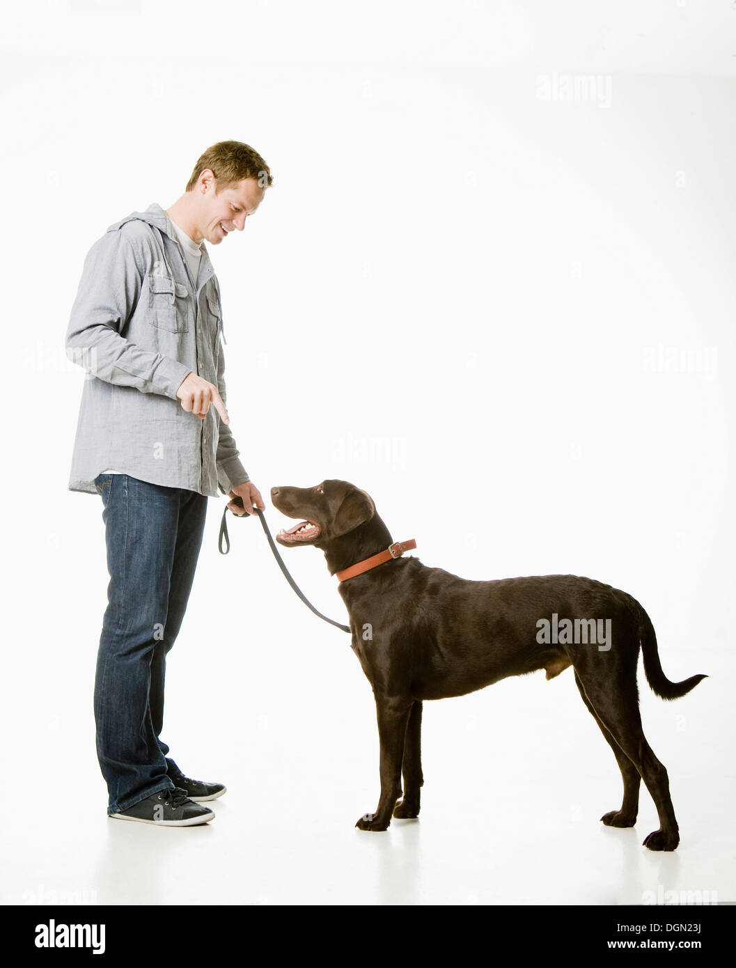 Portrait de jeune homme au labrador chocolat Banque D'Images