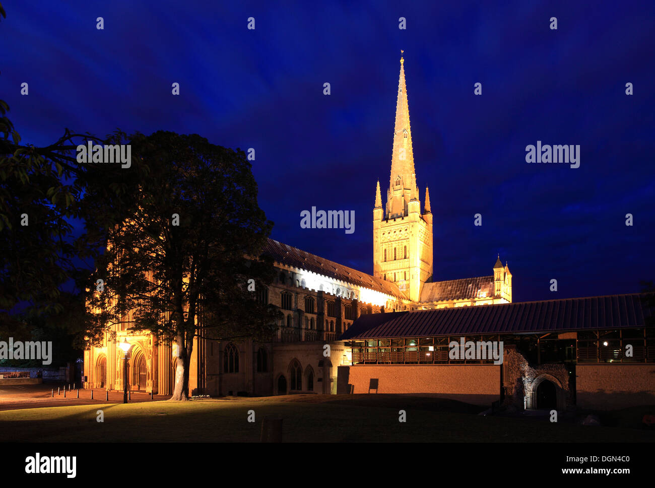 L'été, la nuit, vue sur cathédrale de Norwich, Norwich City, comté de Norfolk, England, UK Banque D'Images