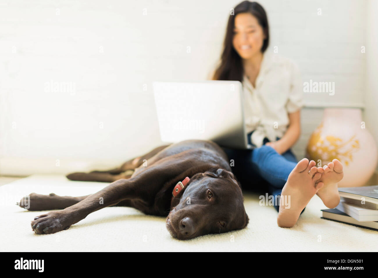 Jeune femme avec le labrador Banque D'Images