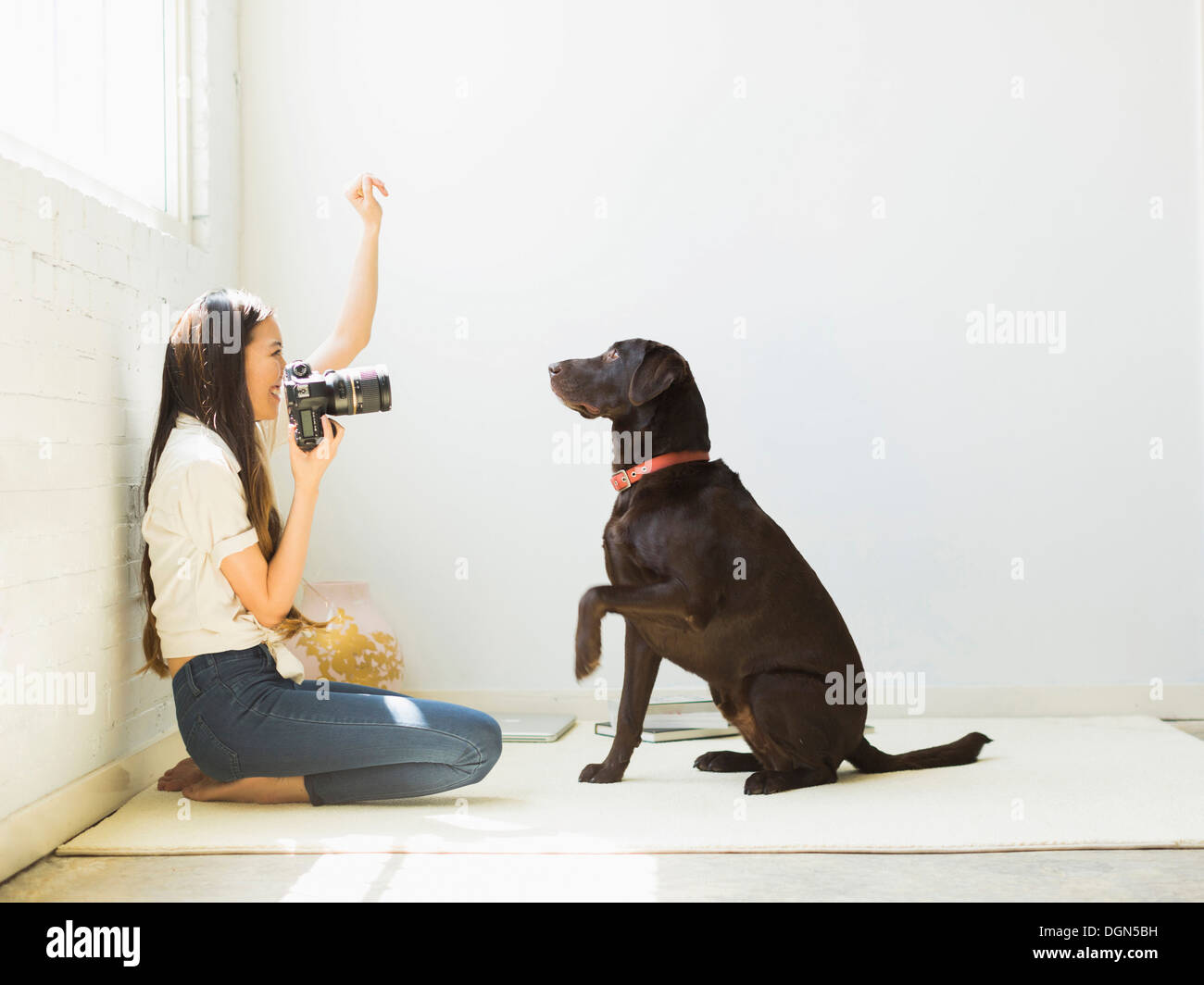 Photographier en studio Femme chien Banque D'Images