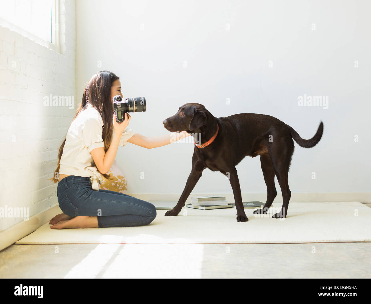 Photographier en studio Femme chien Banque D'Images