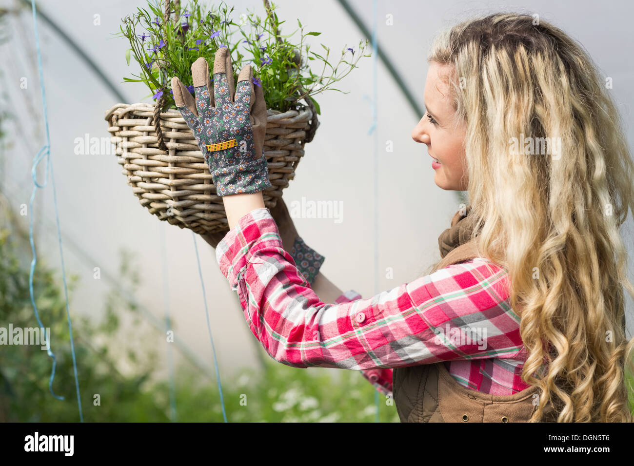 Happy woman fixing a hanging flower basket Banque D'Images