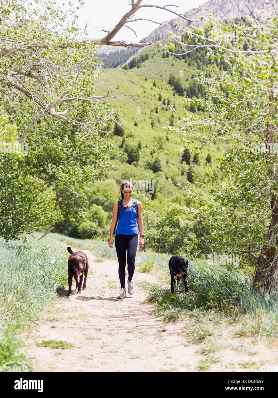 USA, Utah, Salt Lake City, femme avec deux chiens randonnées en paysage Banque D'Images