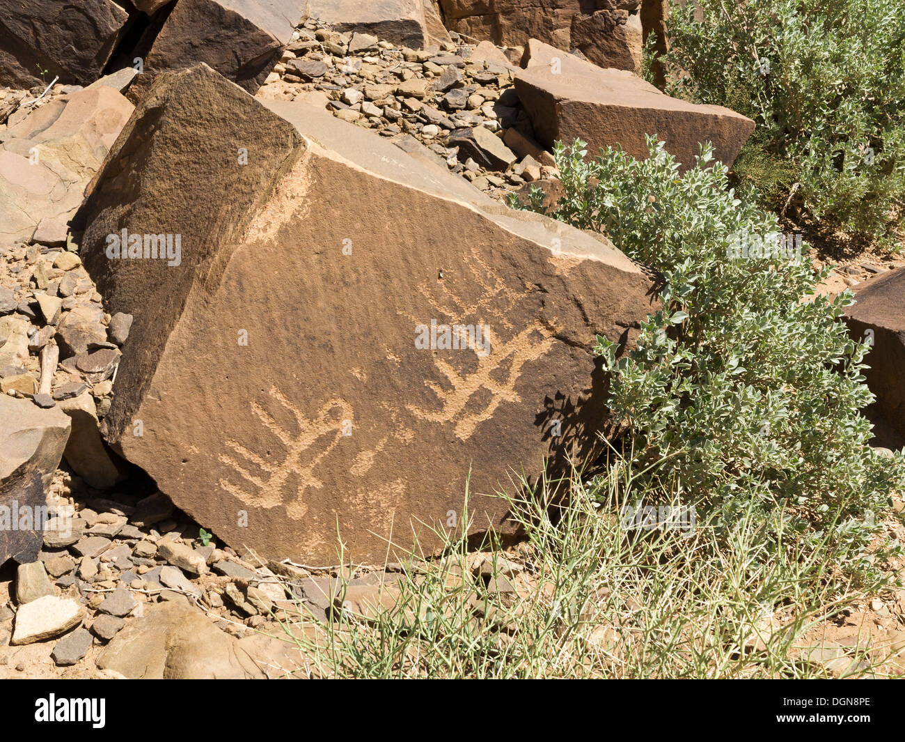 Art-rock ancienne à Jerf el Khil sur la route d'Agdz à Zagora dans la vallée du Draa, Maroc, Afrique du Nord Banque D'Images