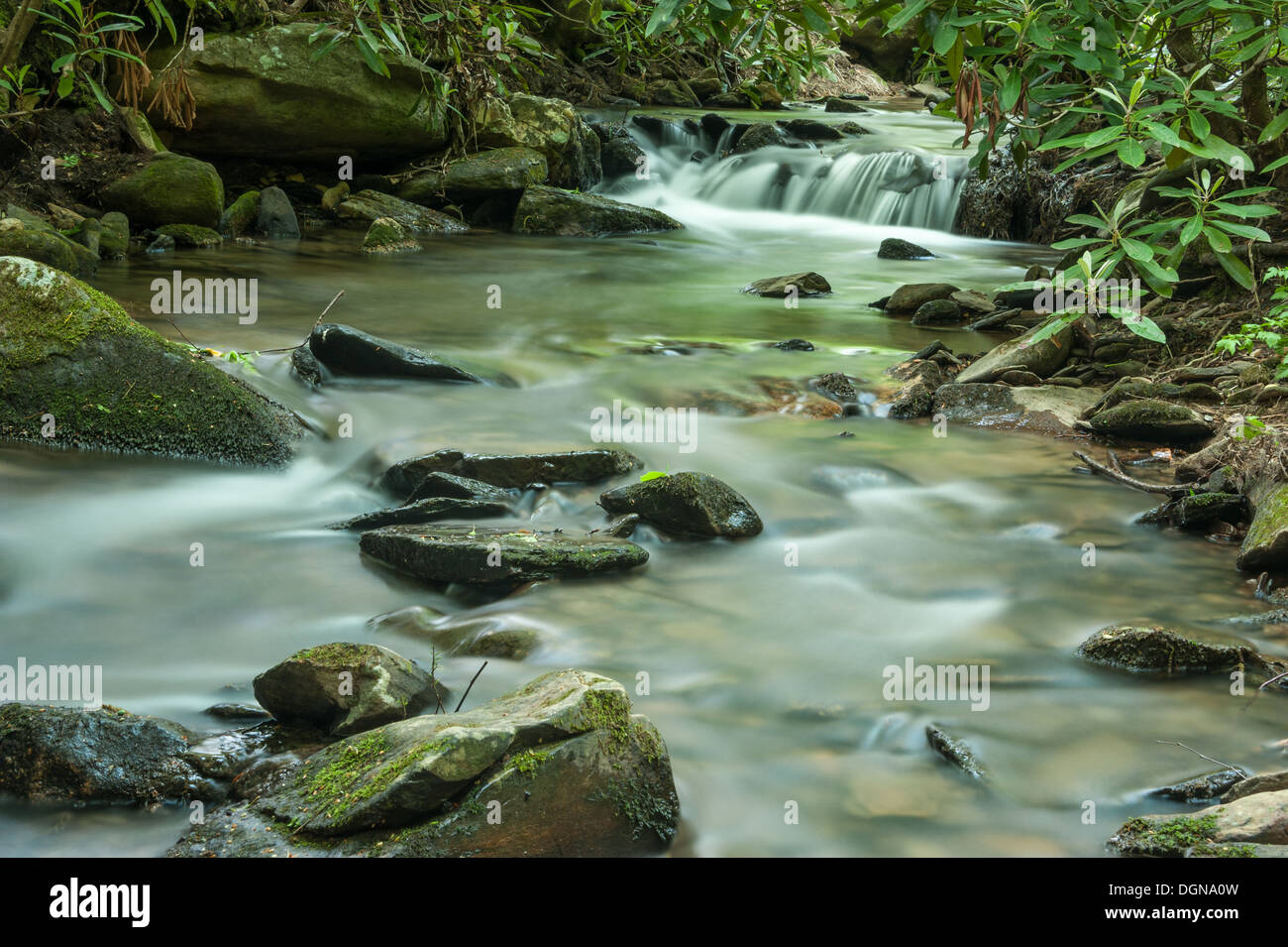 ruisseau de montagne apaisant près d'Asheville, Caroline du Nord, dans les Blue Ridge Mountains de la chaîne des Appalaches. (ÉTATS-UNIS) Banque D'Images