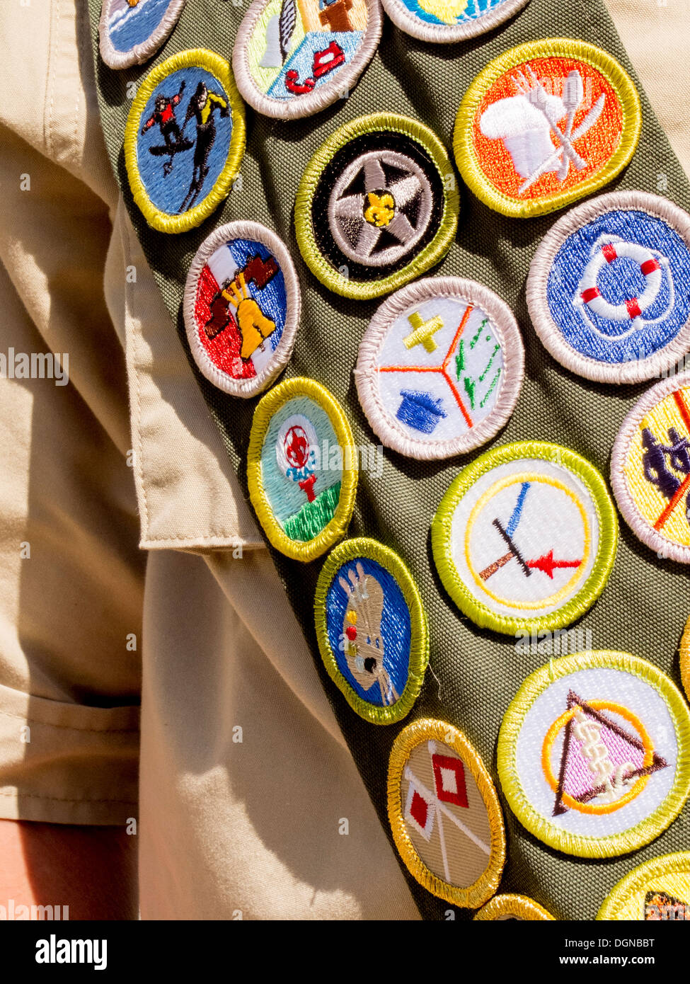 Un Scout mérite la guillotine des badges badge comprend pour le travail du bois, cuisine indienne, naturalisme, lore, et l'entomologie. Banque D'Images