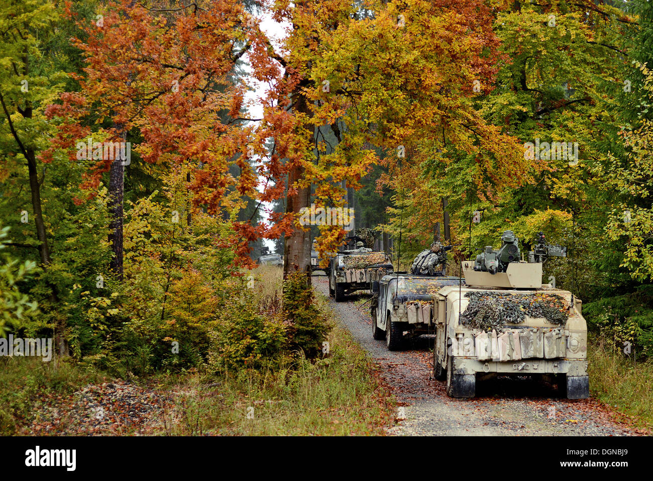 Les soldats de l'ARMÉE AMÉRICAINE, affecté à une troupe, 1er Escadron, 91e Régiment de cavalerie, d'infanterie de la 173e Brigade Combat Team (Airborne), activités de reconnaissance pour la formation de la prochaine "Steadfast Jazz" en Pologne à l'exercice multinational interarmées du Commandement' Banque D'Images