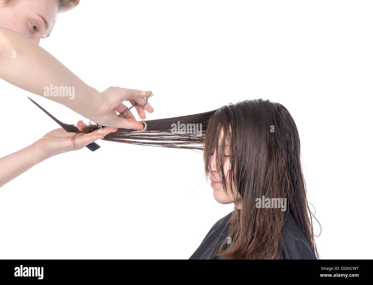 Jeune femme ayant une coupe de cheveux avec une coiffure sa coupe bordure sur sa longue chevelure brune, isolated on white Banque D'Images