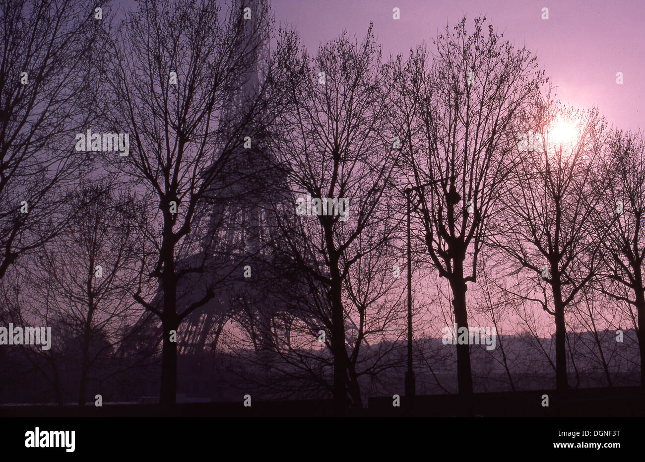 La Tour Eiffel, vue à travers les arbres dans le parc à proximité Banque D'Images