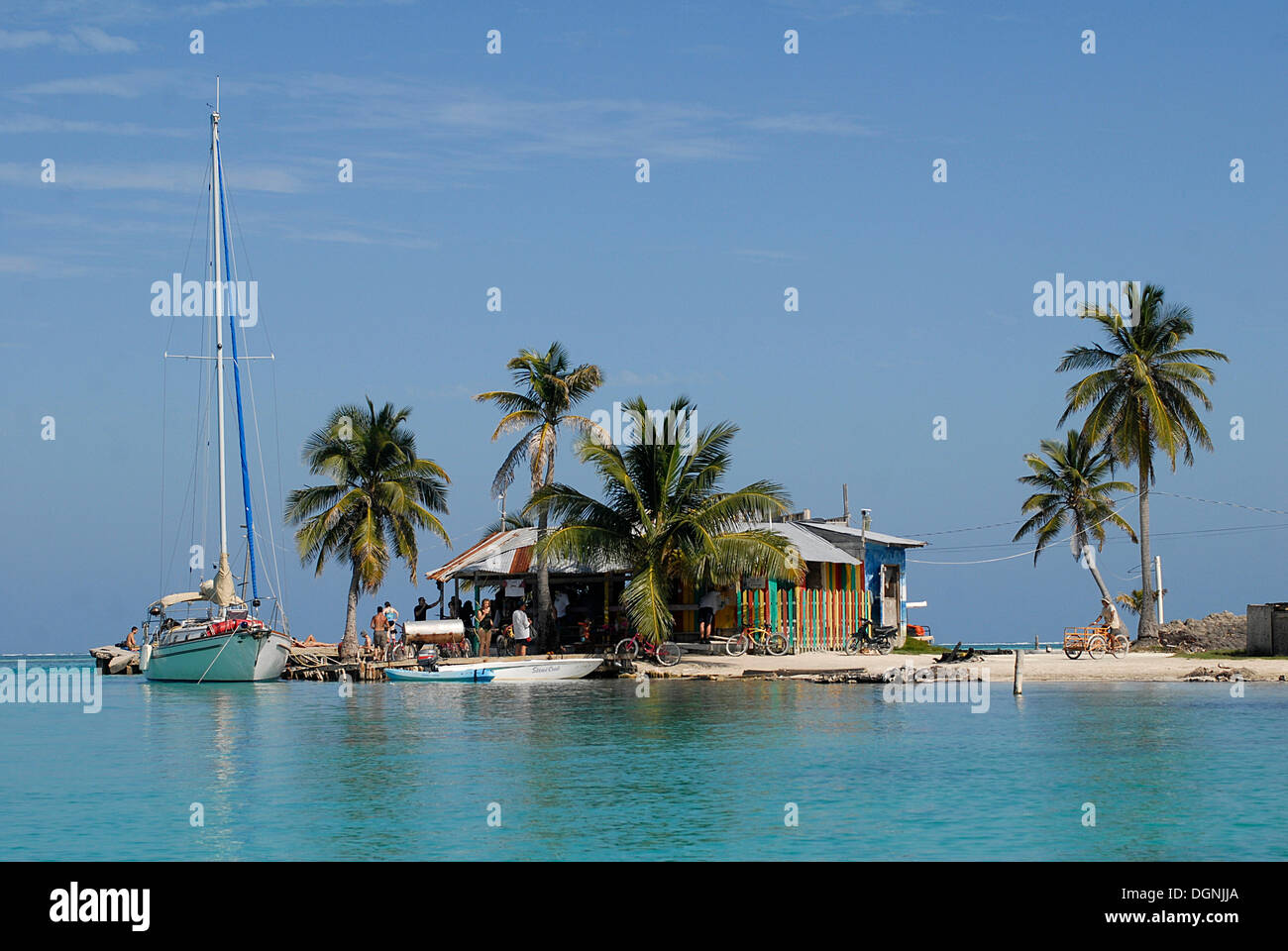 Beachbar sous les palmiers sur l'île de Caye Caulker, Belize, Amérique Centrale Banque D'Images