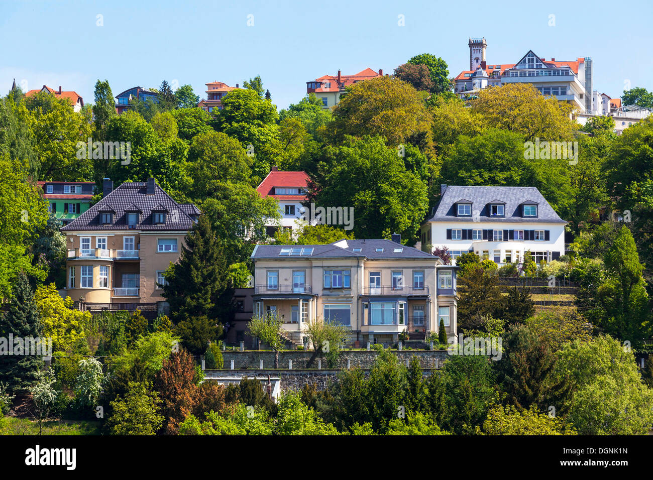 District de Villa Loschwitz sur les pentes de la vallée de l'Elbe à Dresde, Dresde, Saxe, Allemagne Banque D'Images
