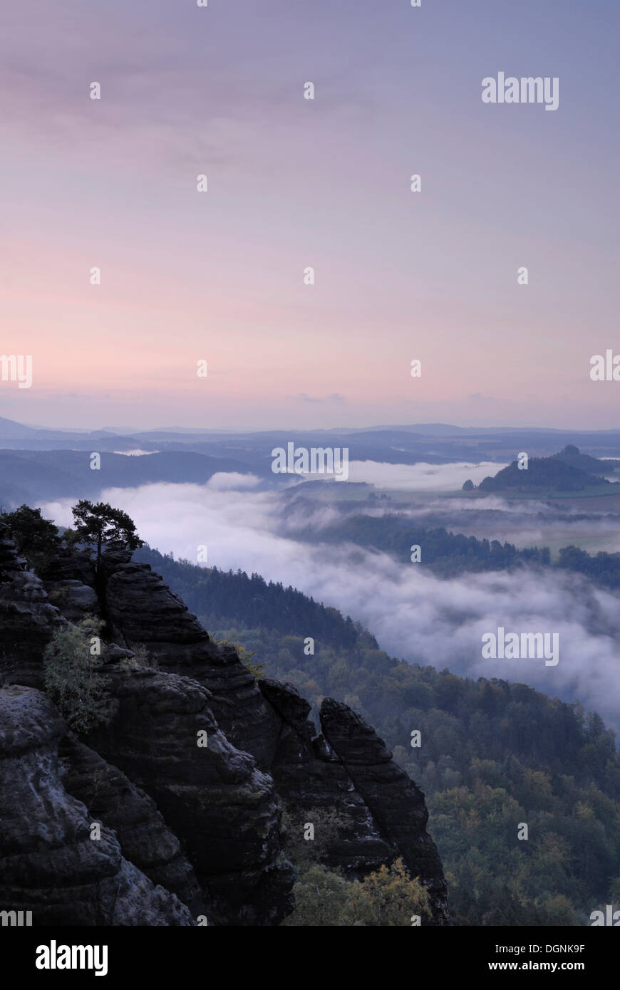 Vue depuis le chemin du peintre Vallée de l'Elbe, dans la brume matinale, des montagnes de grès de l'Elbe, la Suisse Saxonne, Saxe Banque D'Images