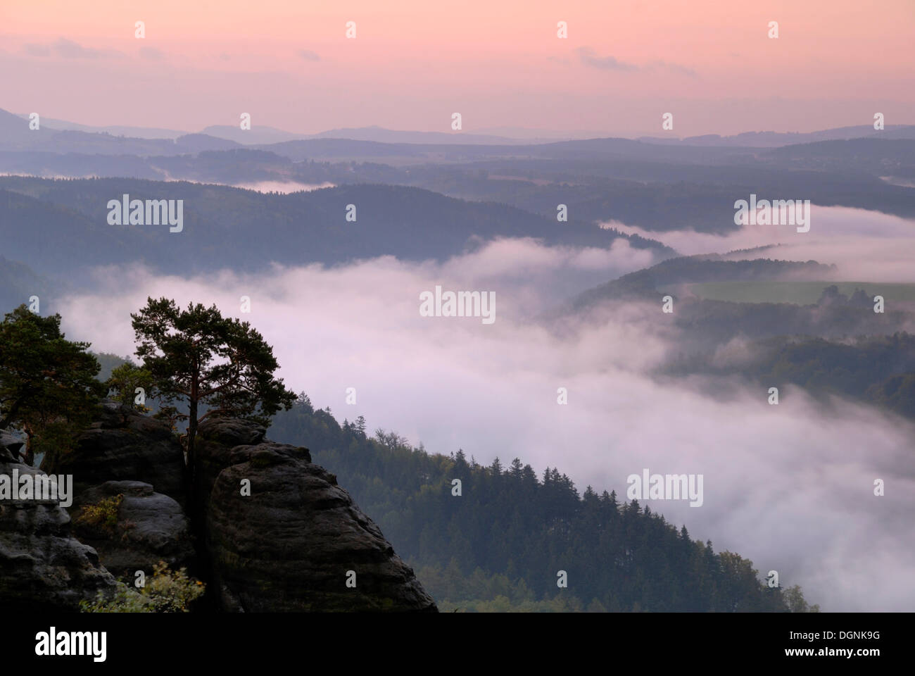 Vue depuis le chemin du peintre Vallée de l'Elbe, dans la brume matinale, des montagnes de grès de l'Elbe, la Suisse Saxonne, Saxe Banque D'Images