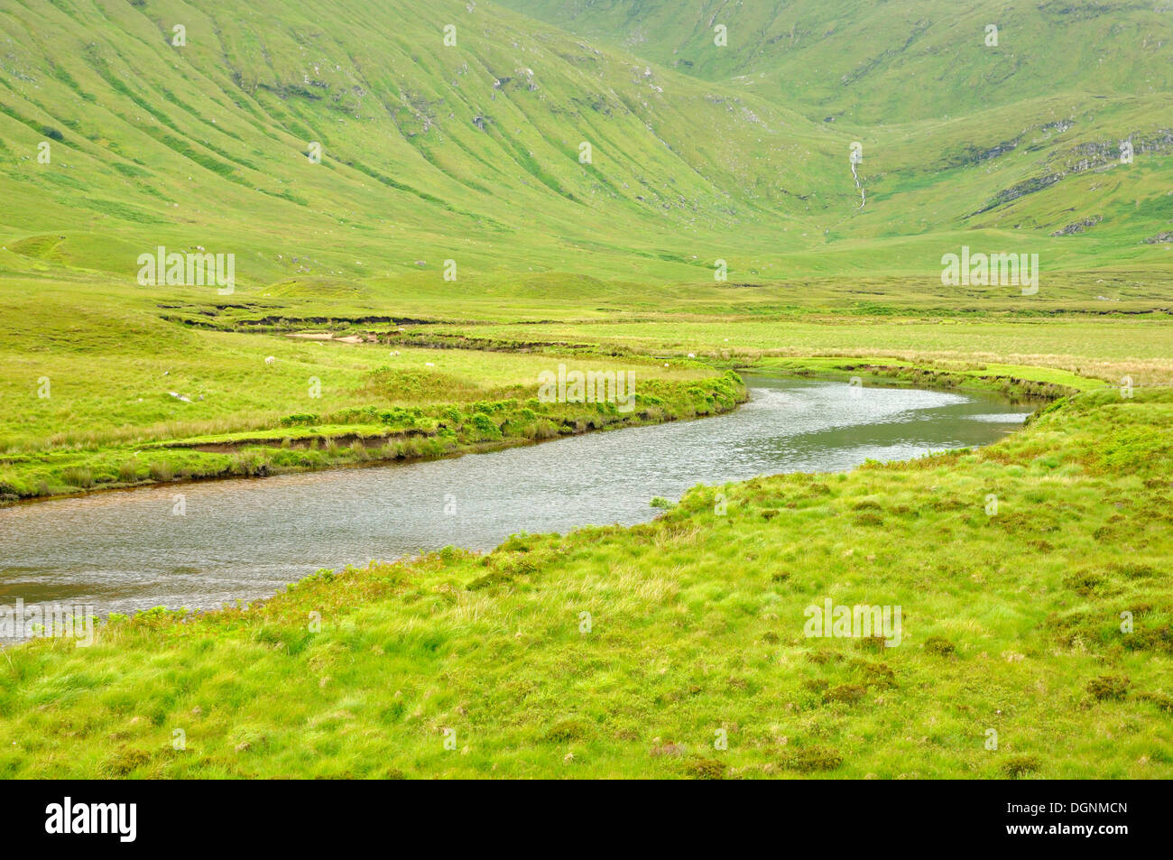 Rivière qui coule à travers un plateau herbeux dans les Highlands, Durness, Sutherland, comté de Highland, Ecosse, Royaume-Uni Banque D'Images