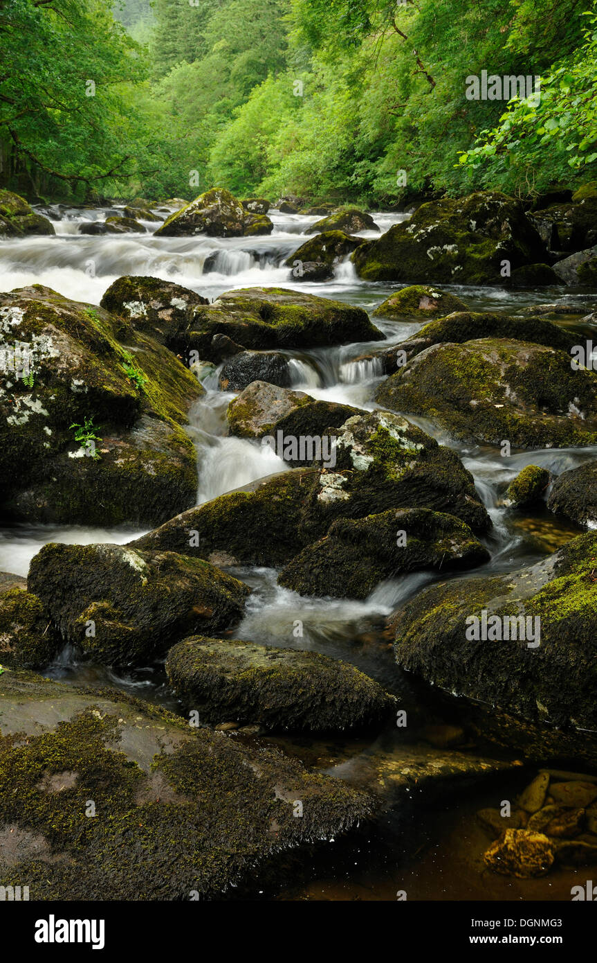Les roches dans la rivière Llugwy ou d'Afon Llugwy, Betws-Y-coed, au Pays de Galles, Royaume-Uni Banque D'Images