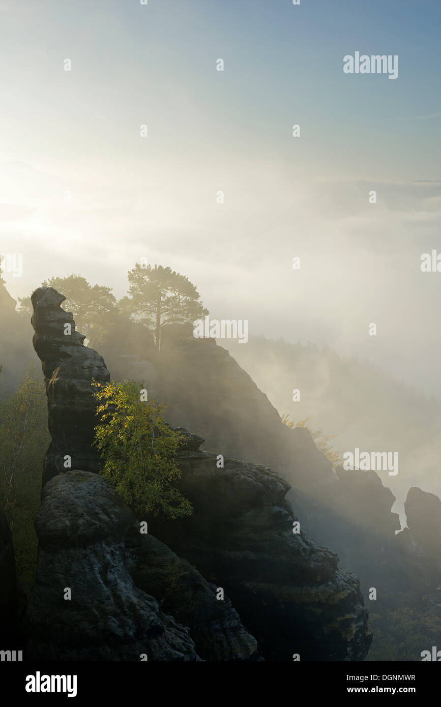 Des rochers et des arbres sur le ​​In Schrammsteine brume du matin, à l'arrière de la vallée de l'Elbe, la Suisse Saxonne, Bad Schandau Banque D'Images