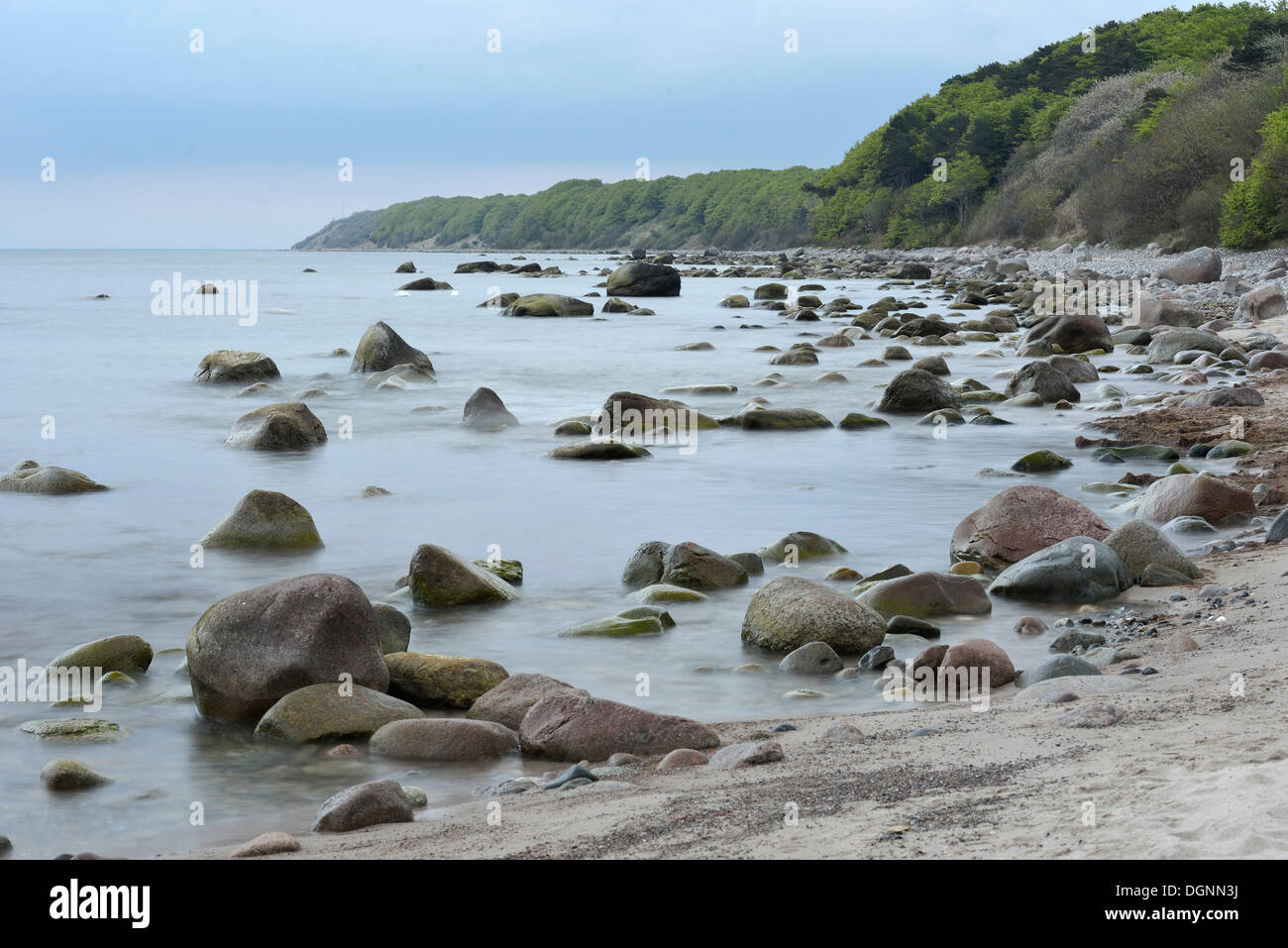 Bluffs sur la côte de la mer Baltique, pierres et rochers dans la mer, Dranske, Mecklembourg-Poméranie-Occidentale, Allemagne Banque D'Images