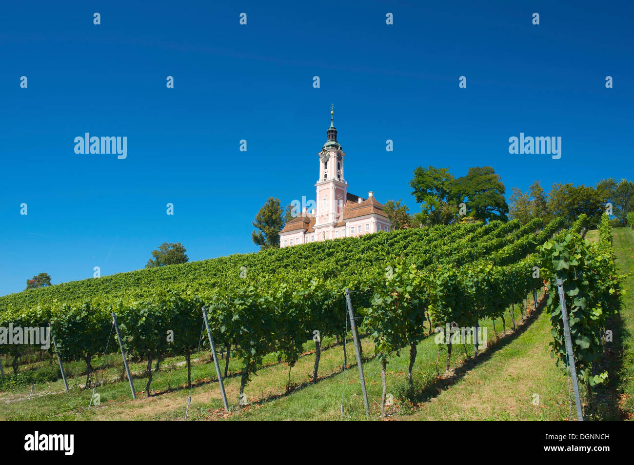 Birnau Wallfahrtskirche, église de pèlerinage marial, le lac de Constance, Birnau Bade-wurtemberg Banque D'Images