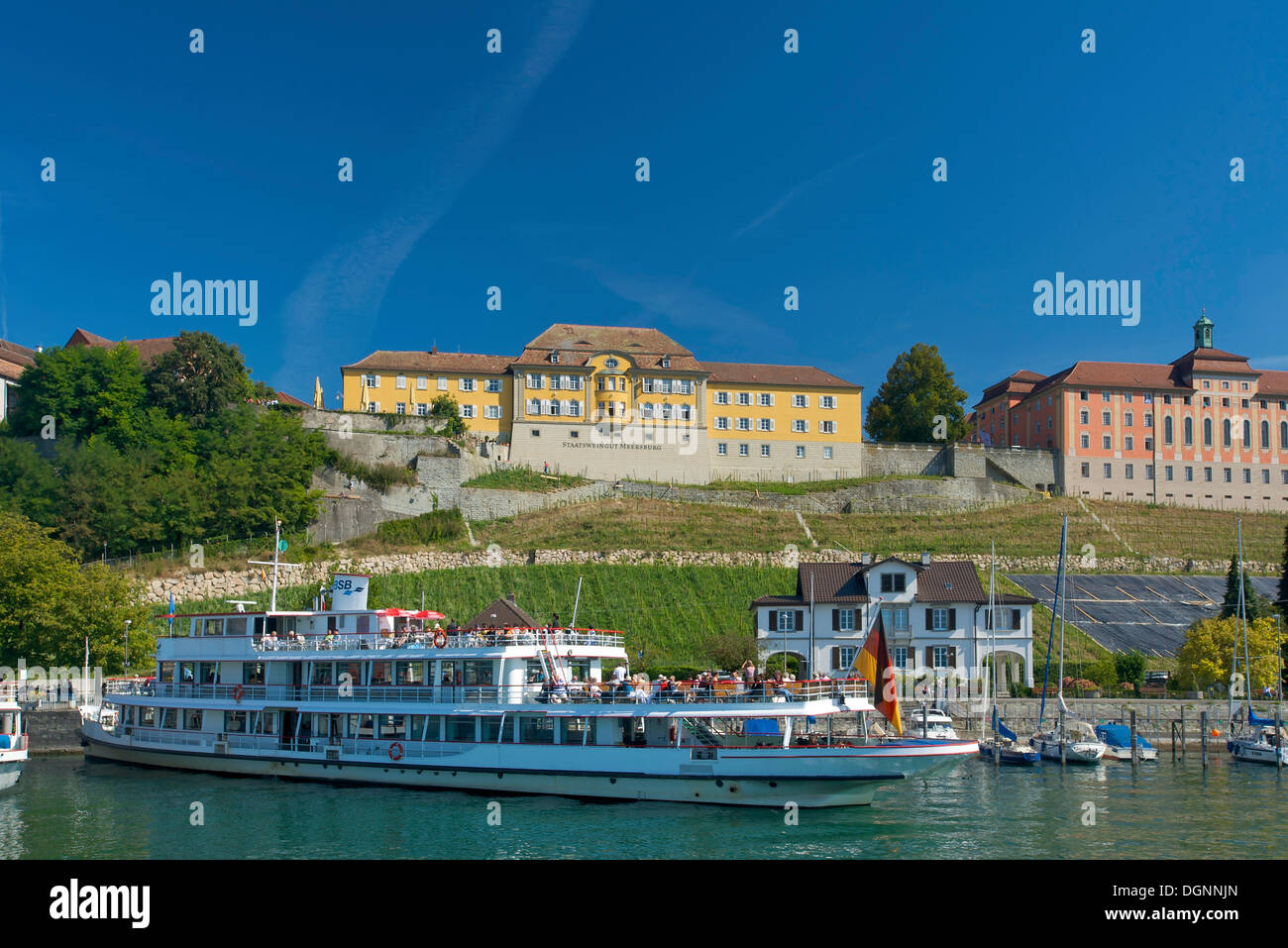 Bateau de croisière dans le port en face des vignobles de l'état winery, Meersburg, Lac de Constance, Bade-Wurtemberg Banque D'Images