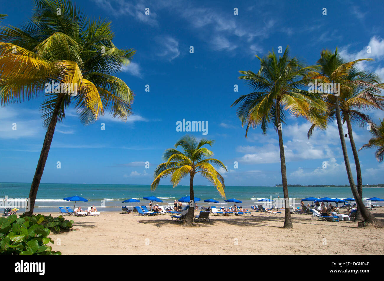 Plage avec des palmiers à San Juan, Puerto Rico, des Caraïbes Banque D'Images