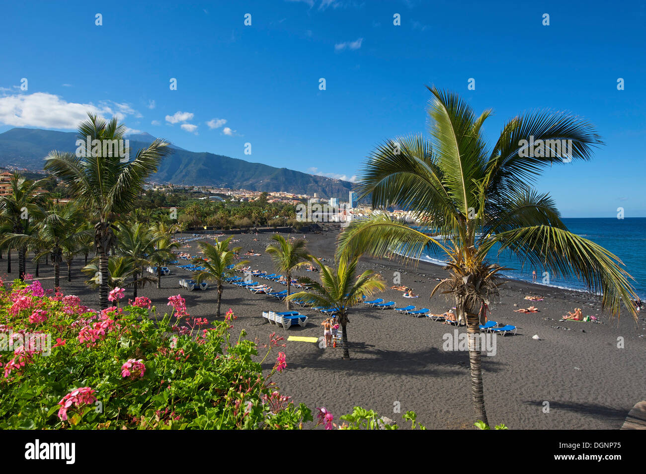 Plage, Playa Jardin, avec le volcan du Teide à Puerto de la Cruz, Tenerife, Canaries, Espagne, Europe Banque D'Images