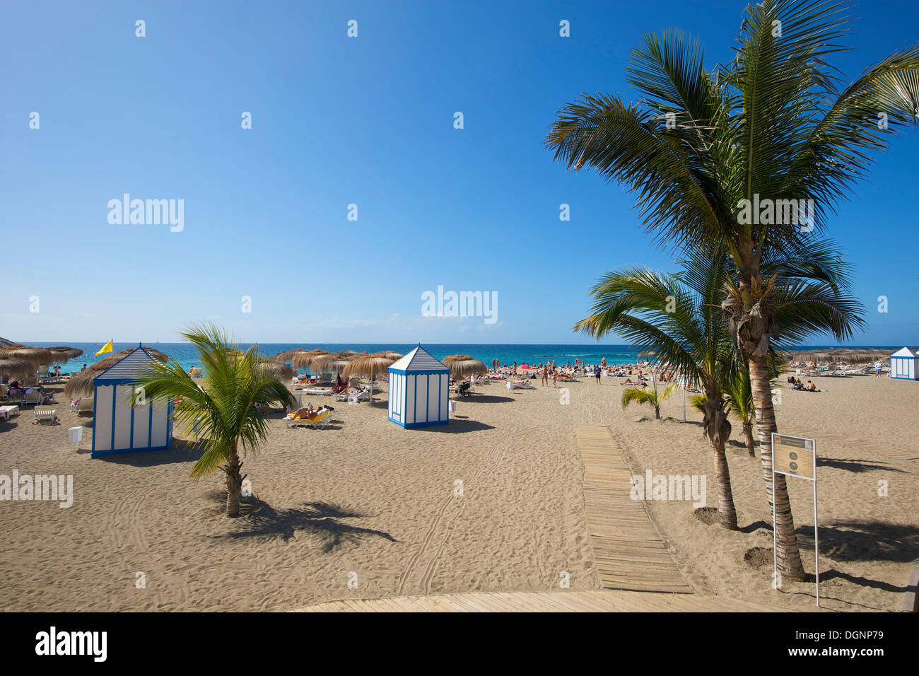 Plage, Playa del Duque, Costa Adeje, Tenerife, Espagne, Europe Banque D'Images