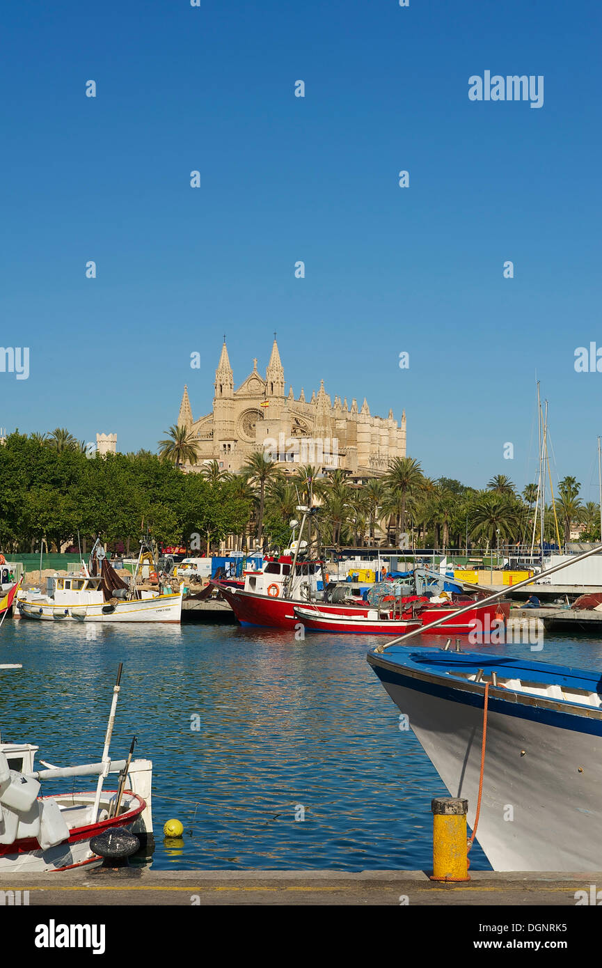 Cathédrale La Seu et le port de pêche, Palma de Mallorca, Majorque, Îles Baléares, Espagne Banque D'Images