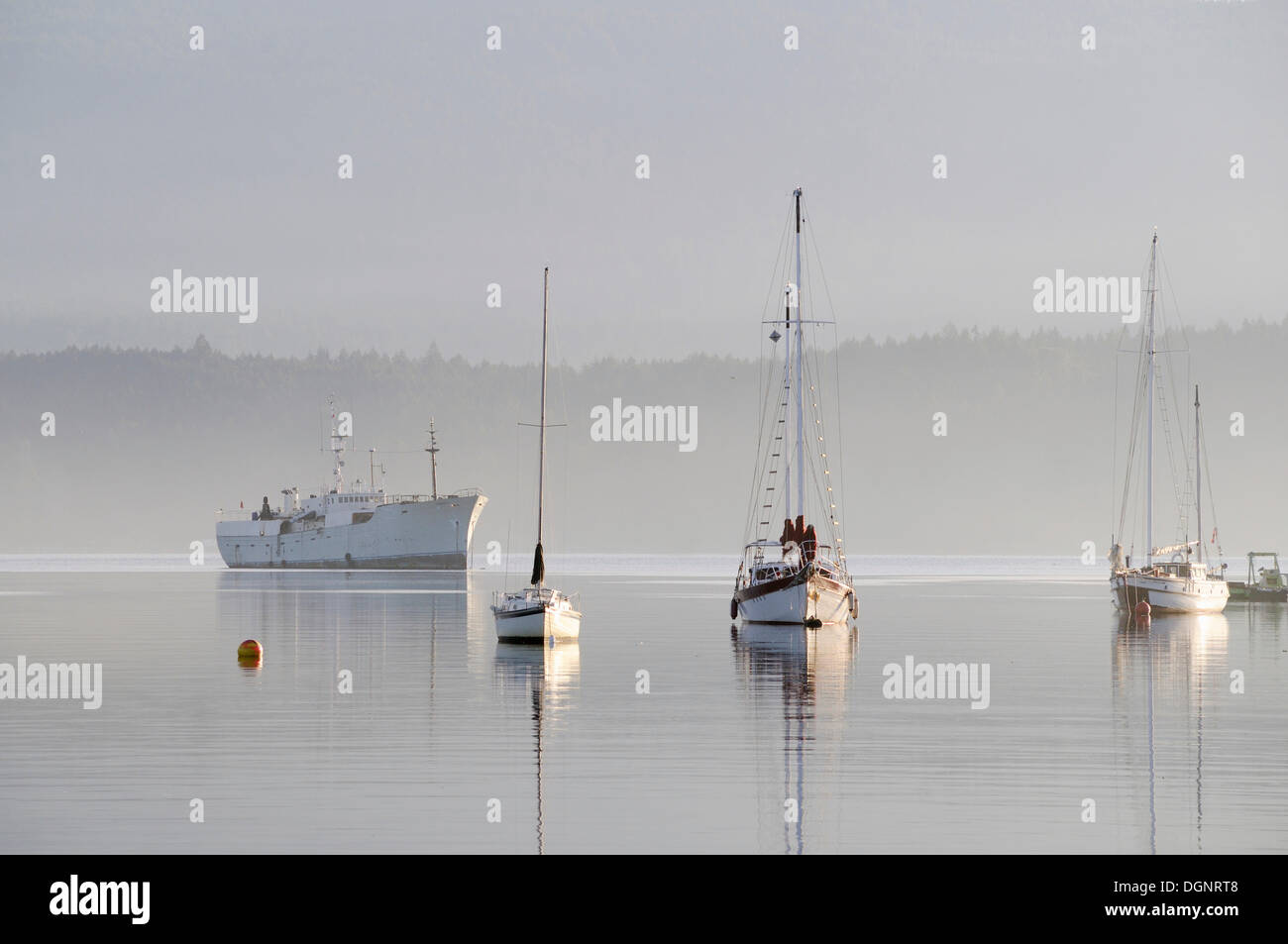 Bateaux au mouillage, Cowichan Bay, île de Vancouver, Colombie-Britannique, Canada Banque D'Images