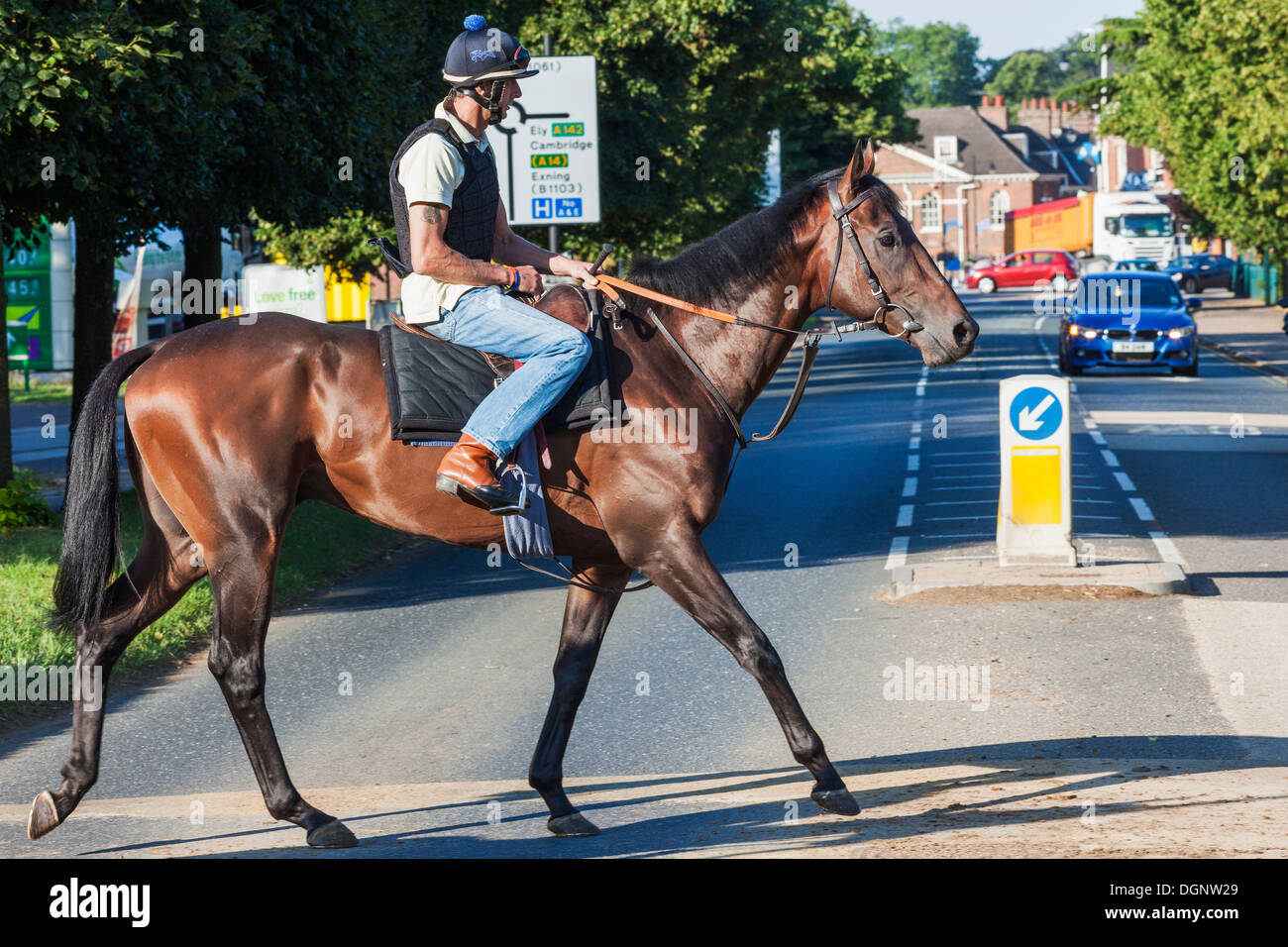 L'Angleterre, l'East Anglia, Suffolk, Newmarket, Racehorse Crossing Road Banque D'Images