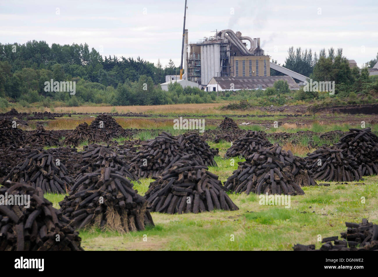 Briquettes de tourbe empilé pour sécher sur des piles en face d'une usine de briquettes de tourbe, près de Birr, Offaly, Midlands, Irlande, Europe Banque D'Images