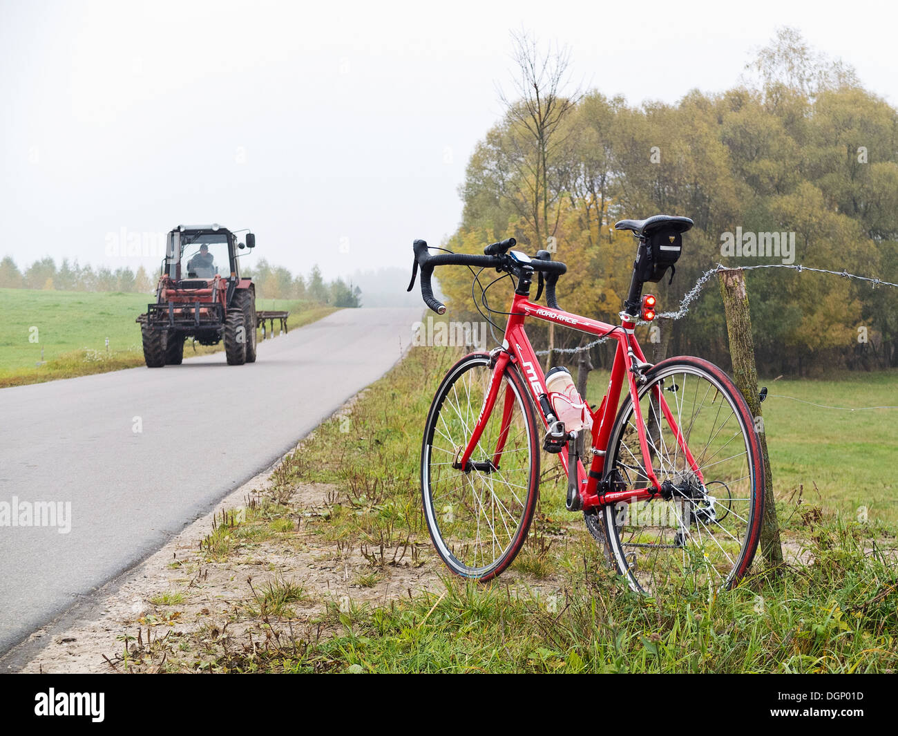 Red racer. Location permanent relatif à l'air brumeux et vert, prés de l'automne. Banque D'Images