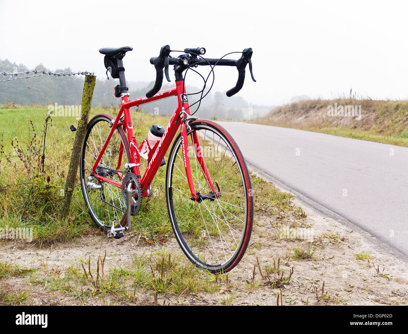 Red racer. Location permanent relatif à l'air brumeux et vert, prés de l'automne. Banque D'Images