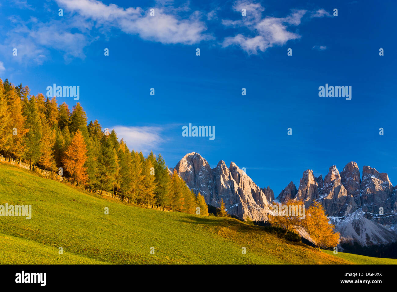 Villnoesstal ou Val di Funes Valley, à l'automne, Odle Geisler, massif du Parc Naturel de Puez-Geisler, Tyrol du Sud, Italie, Europe Banque D'Images