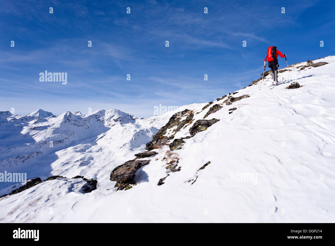 Ski de fond, l'ascension de la montagne, Kalfanwand Koenig und montagnes Ortler à l'arrière, oberhalb vom Zufritt Voir Banque D'Images