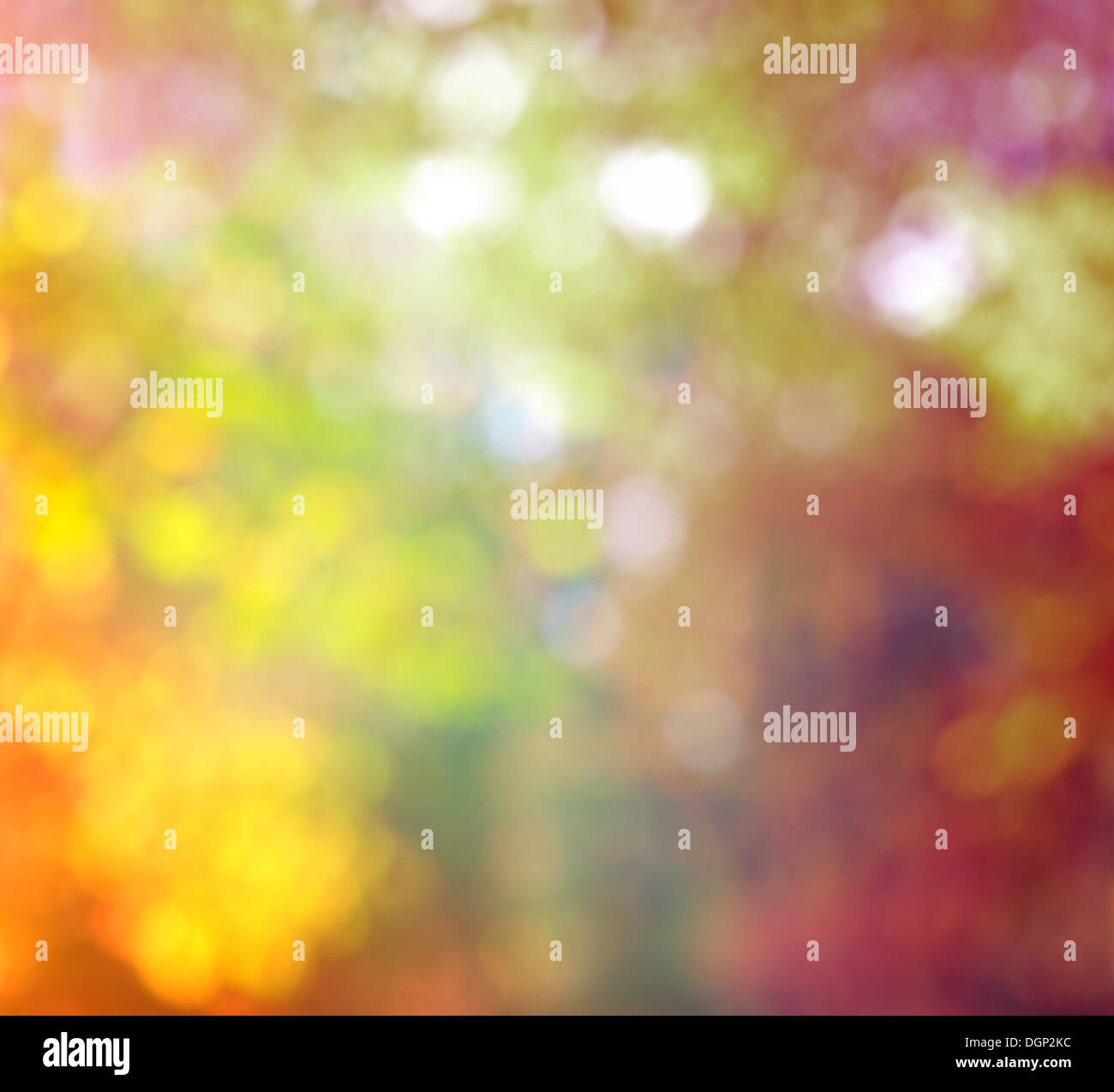 Arrière-plan flou abstrait couleurs tendance Automne Bokeh avec naturel avec feux de soleil Banque D'Images