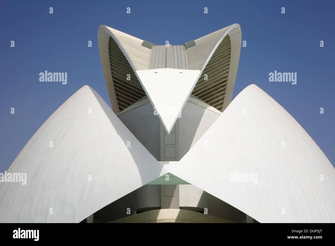 Le toit du Palau de les Arts Reina Sofía opera house, Ciudad de las Artes y las Ciencias Cité des Arts et des Sciences Banque D'Images