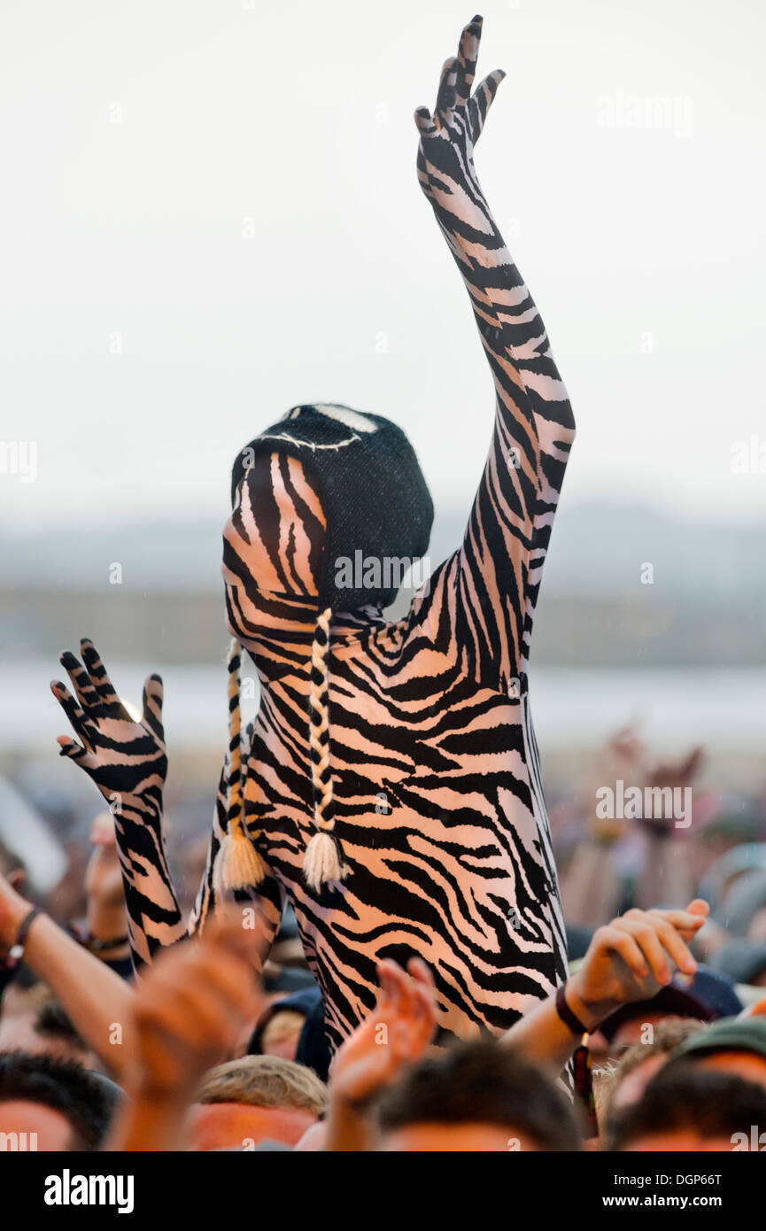 Le Reading Festival - danseuse dans un zèbre morphsuit Août 2013 Banque D'Images