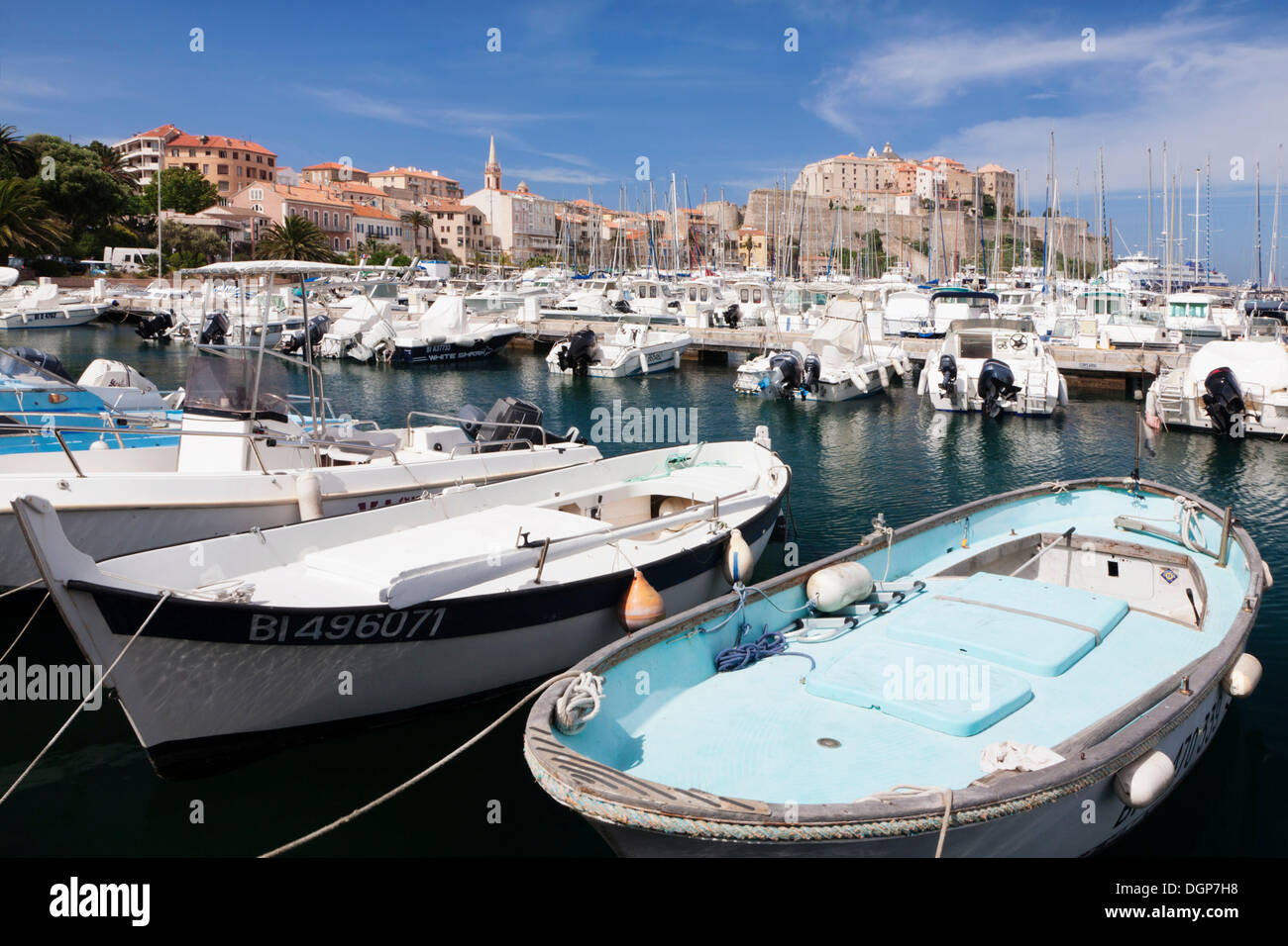 Port de Calvi, Corse, France, Europe Banque D'Images
