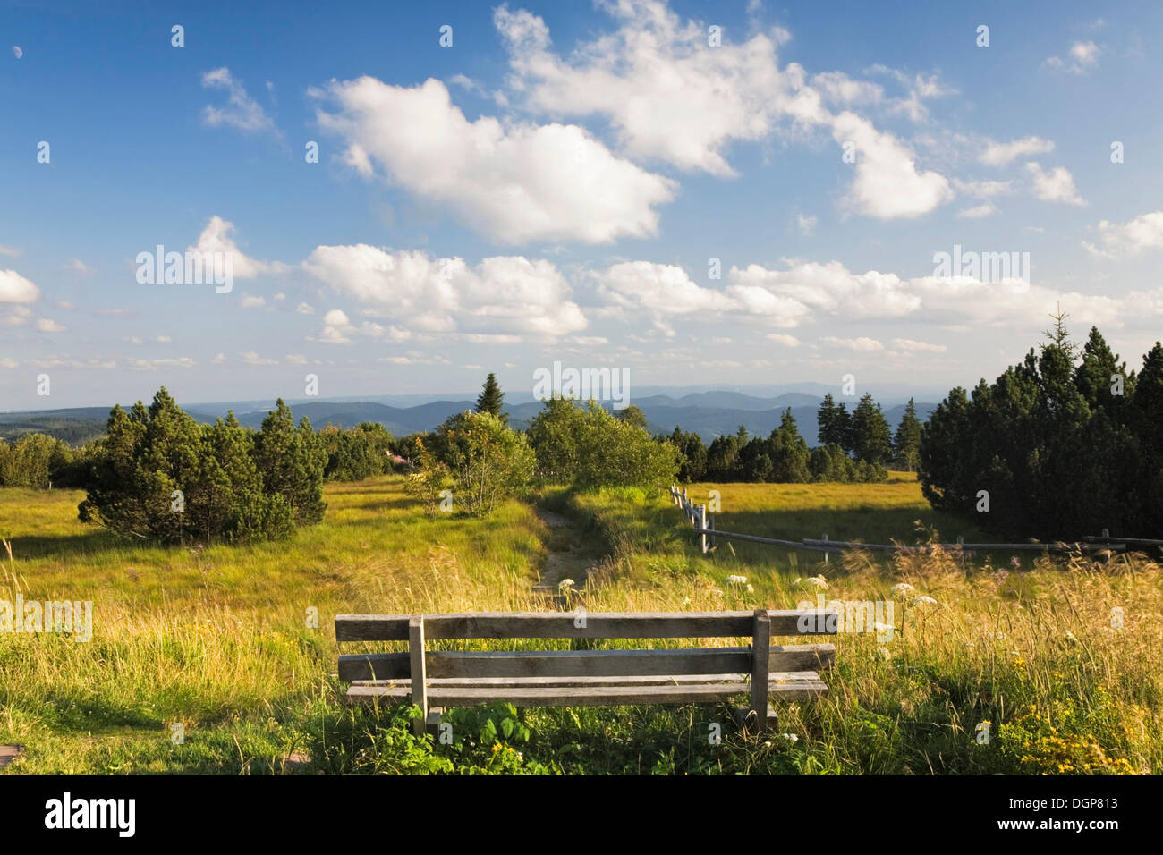 Belvédère sur la montagne Schliffkopf dans la Forêt-Noire, Bade-Wurtemberg Banque D'Images