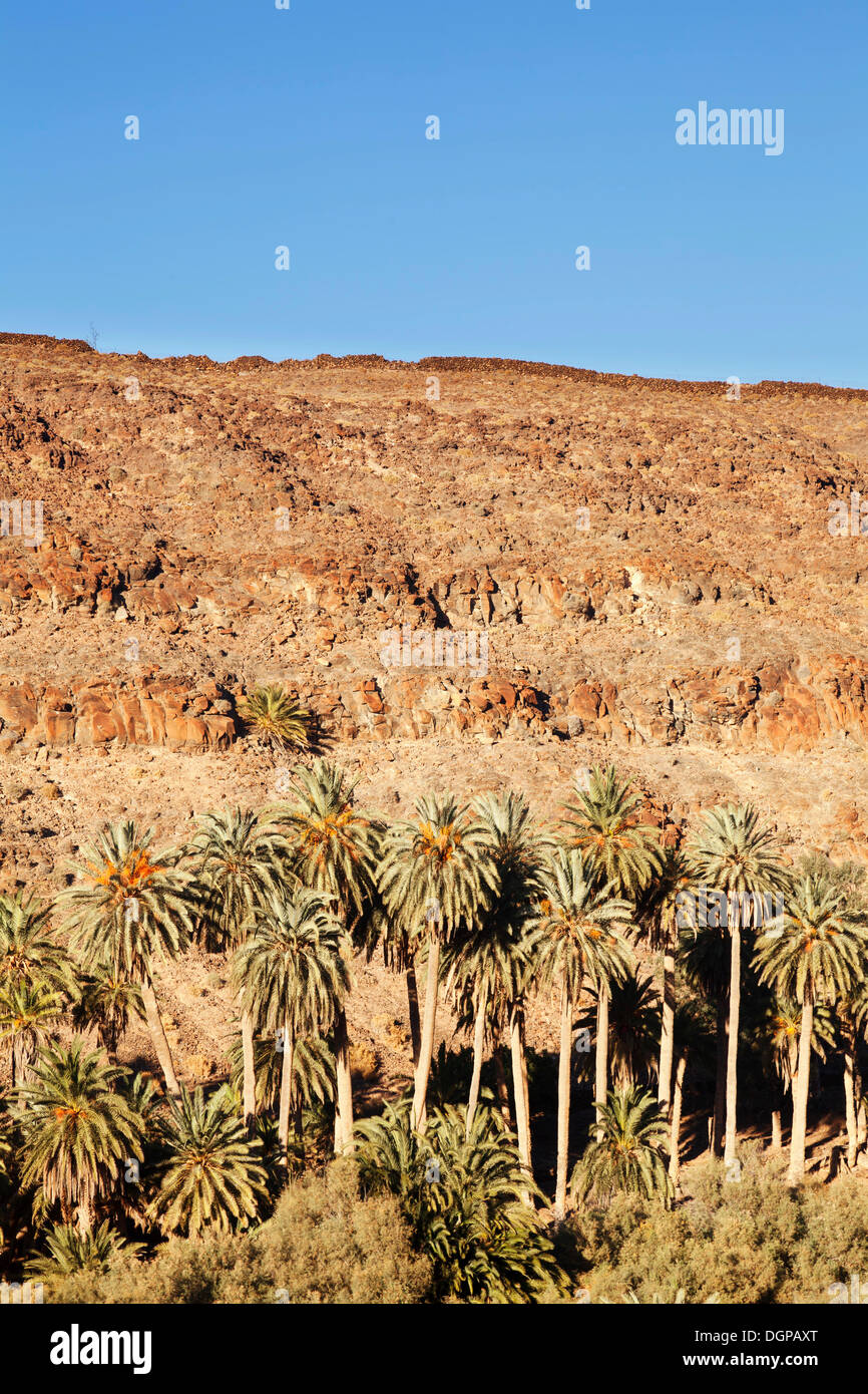 Barranco de la madre de agua Banque de photographies et d’images à haute résolution Alamy Barranco de la madre de agua Banque de photographies et d’images à haute résolution Alamy