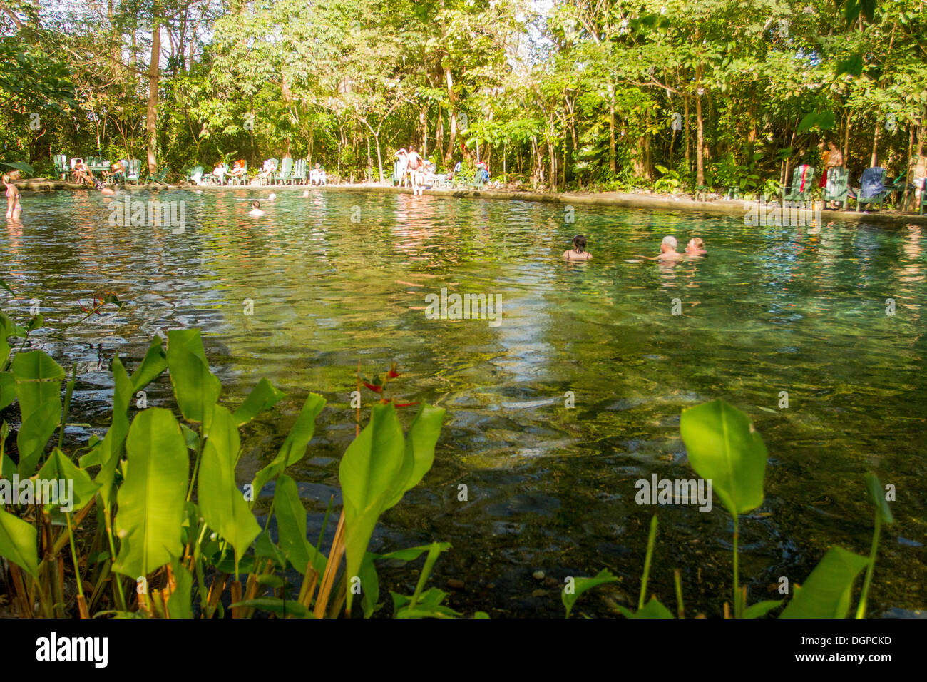 Les touristes de prendre un bain dans la piscine naturelle de Ojo de Agua, Île d'Ometepe, Nicaragua. Banque D'Images