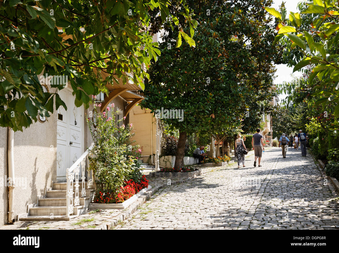 Alley avec pavés, Sogukcesme Sok, quartier historique de Sultanahmet, Istanbul, Turquie, Europe, PublicGround Banque D'Images
