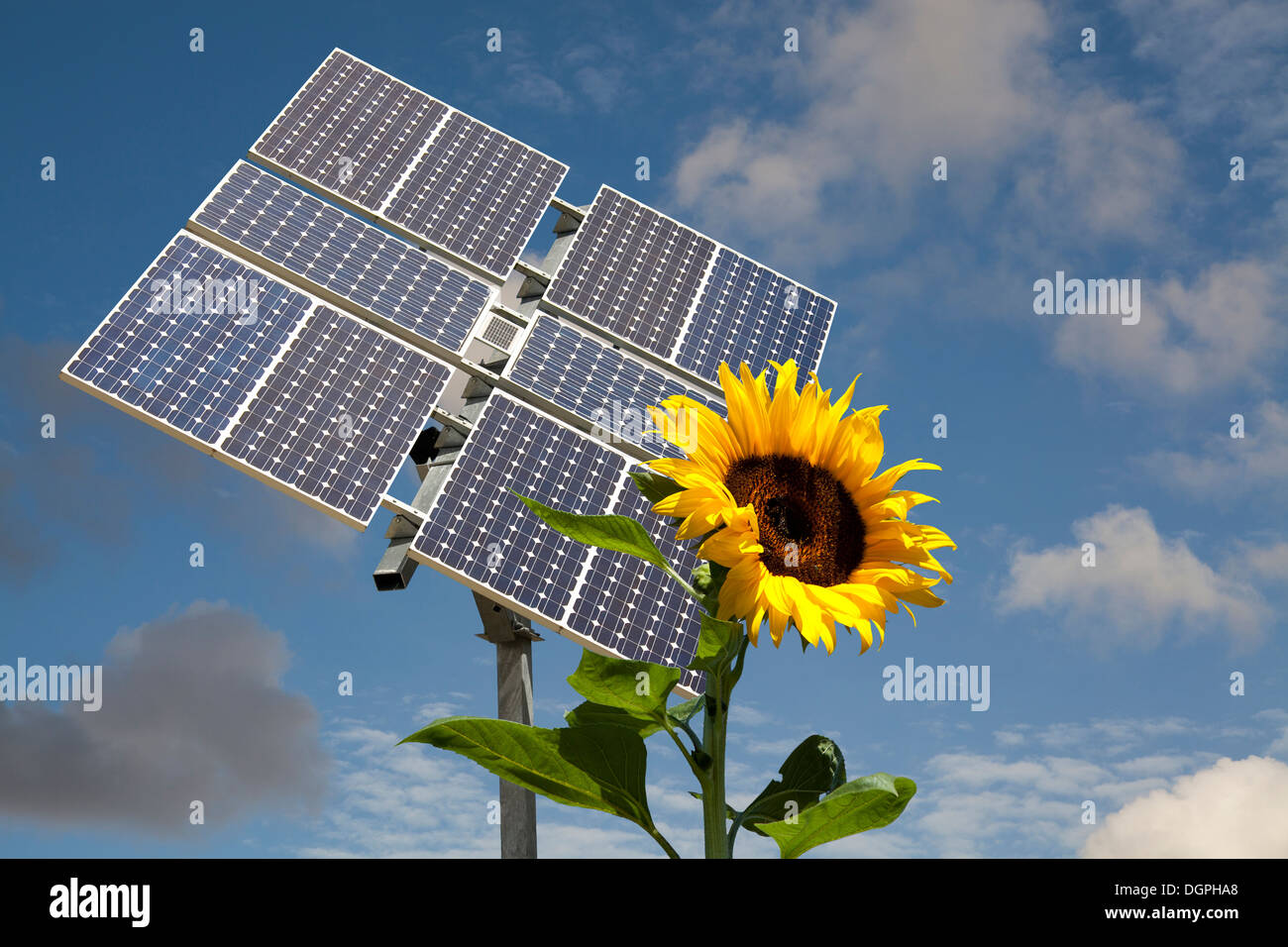 Des panneaux solaires à l'image d'un tournesol s'orientent