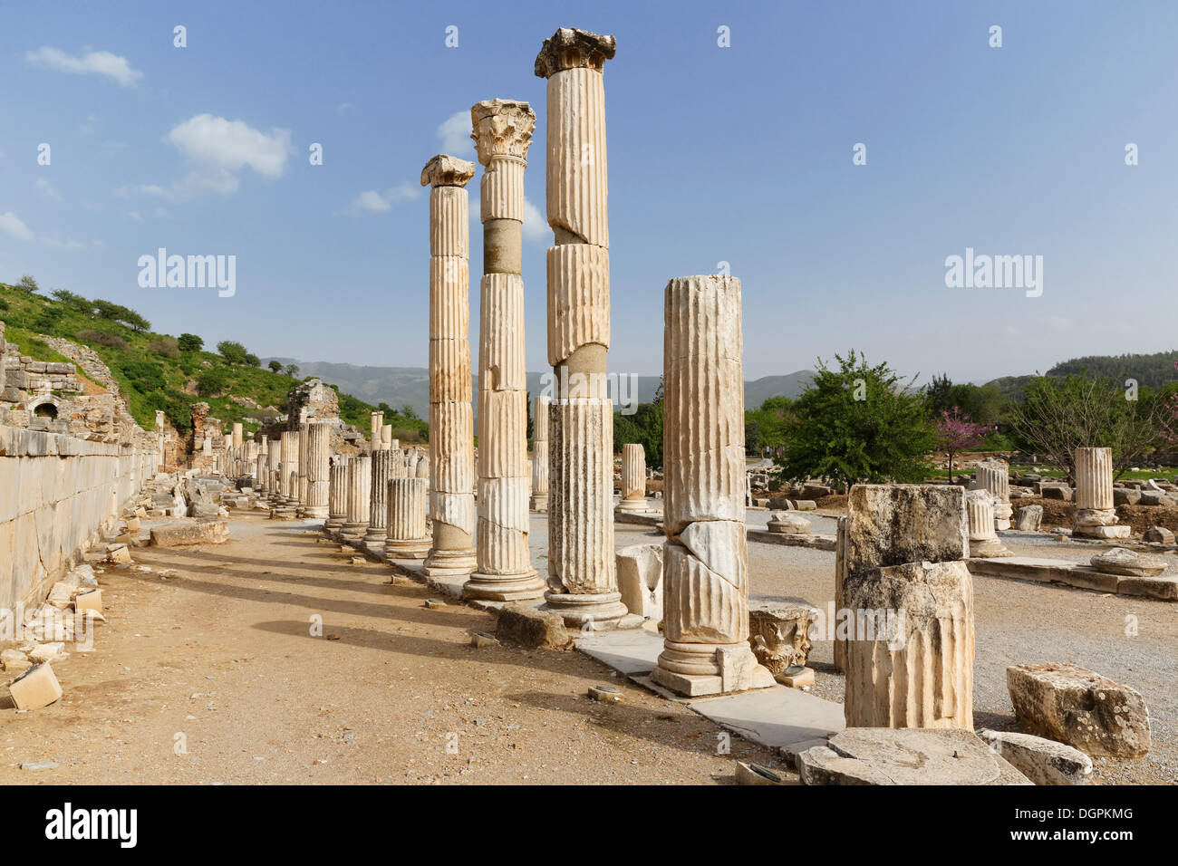 Agora supérieure, Ephèse, Selçuk, İzmir Province, Région de l'Egée, la Turquie Banque D'Images