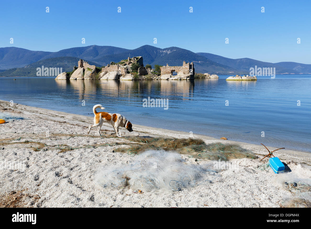 Forteresse byzantine sur une île du lac Bafa, chien et un filet de pêche sur la rive, lac Bafa, Muğla Province, Région de l'Egée Banque D'Images